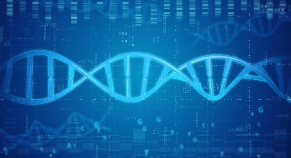 DNA sample