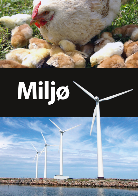 Miljø
